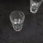 Heavy Sham Bar Glass Set of 6 - elsie green - the french kitchen