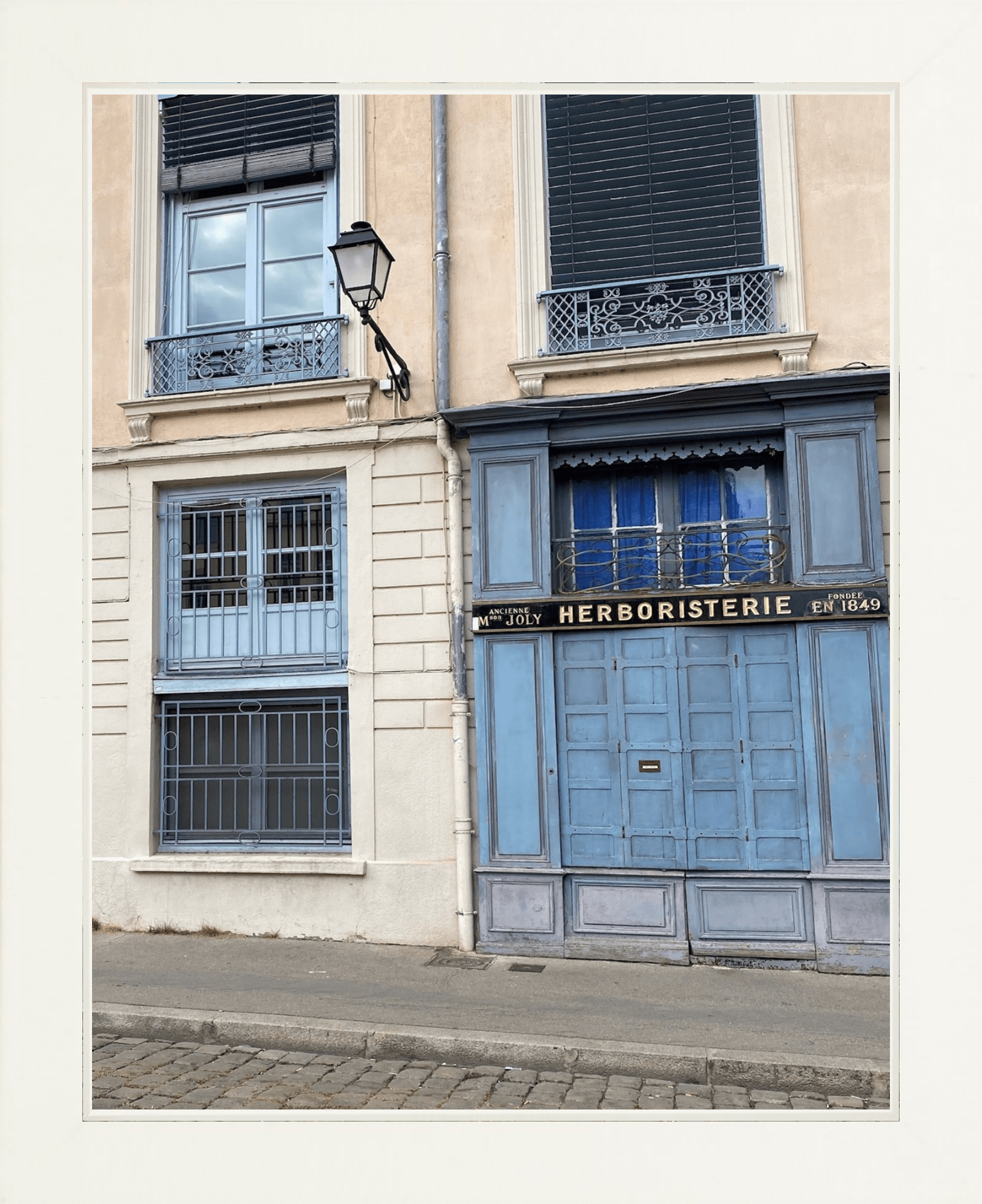 Herboristerie Printed Photograph - elsie green - Art