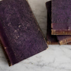 Histoire de Louvois Library Book Set of 4 - elsie green - decor