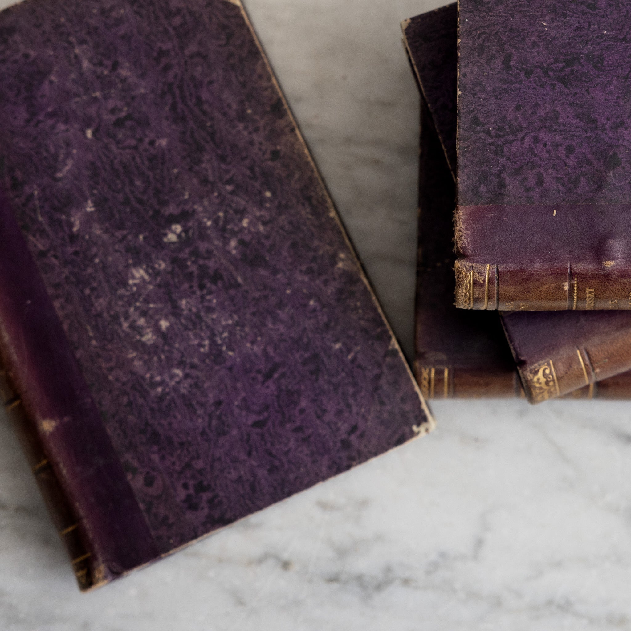 Histoire de Louvois Library Book Set of 4 - elsie green - decor