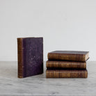Histoire de Louvois Library Book Set of 4 - elsie green - decor