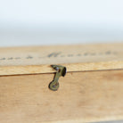 Horn Mustache Comb and Brush - elsie green - decor