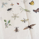 Insects Study Watercolor Painting | Dated 1919 - elsie green - Art