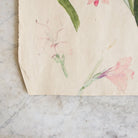 Iris Study Watercolor Painting | Dated 1916 - elsie green - Art
