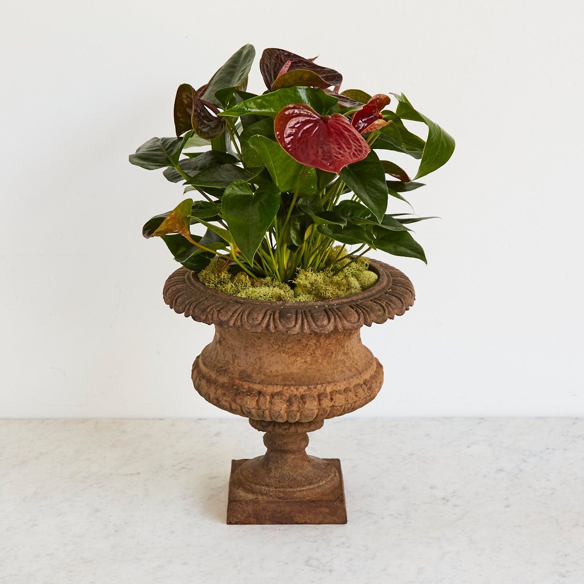 Iron Garden Urn - elsie green - decor