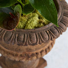 Iron Garden Urn - elsie green - decor