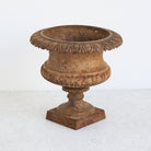 Iron Garden Urn - elsie green - decor