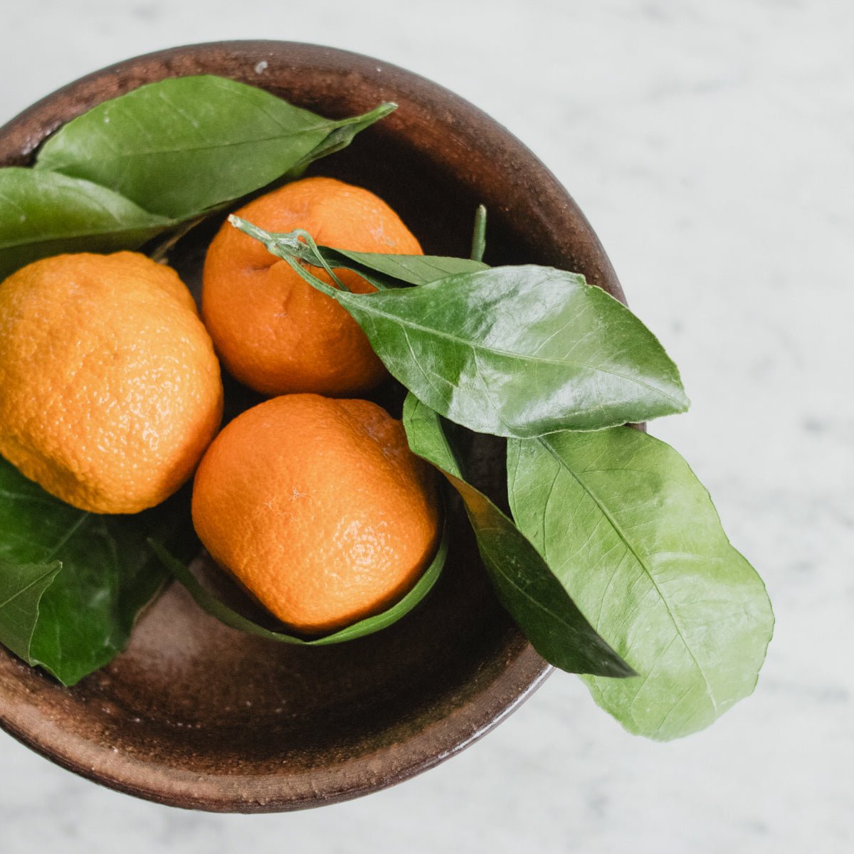 Jean Marais Pedestal Bowl - elsie green - the french kitchen