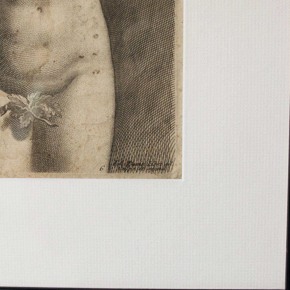 La Femme et Sa Feuille de Vigne Lithograph - elsie green - art