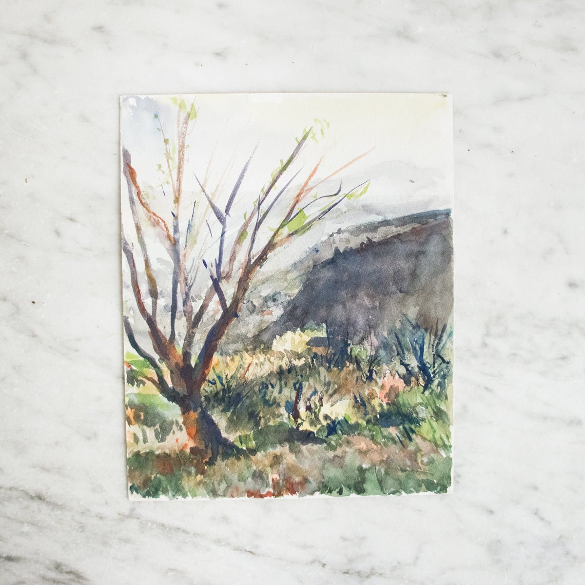 Landscape with Barren Tree Watercolor Painting - elsie green - art