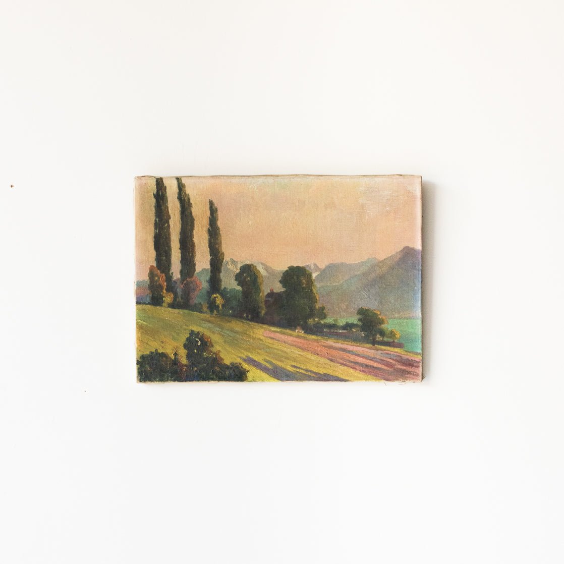 Landscape With Mountains And Trees At Sunset Oil Painting - elsie green - Art