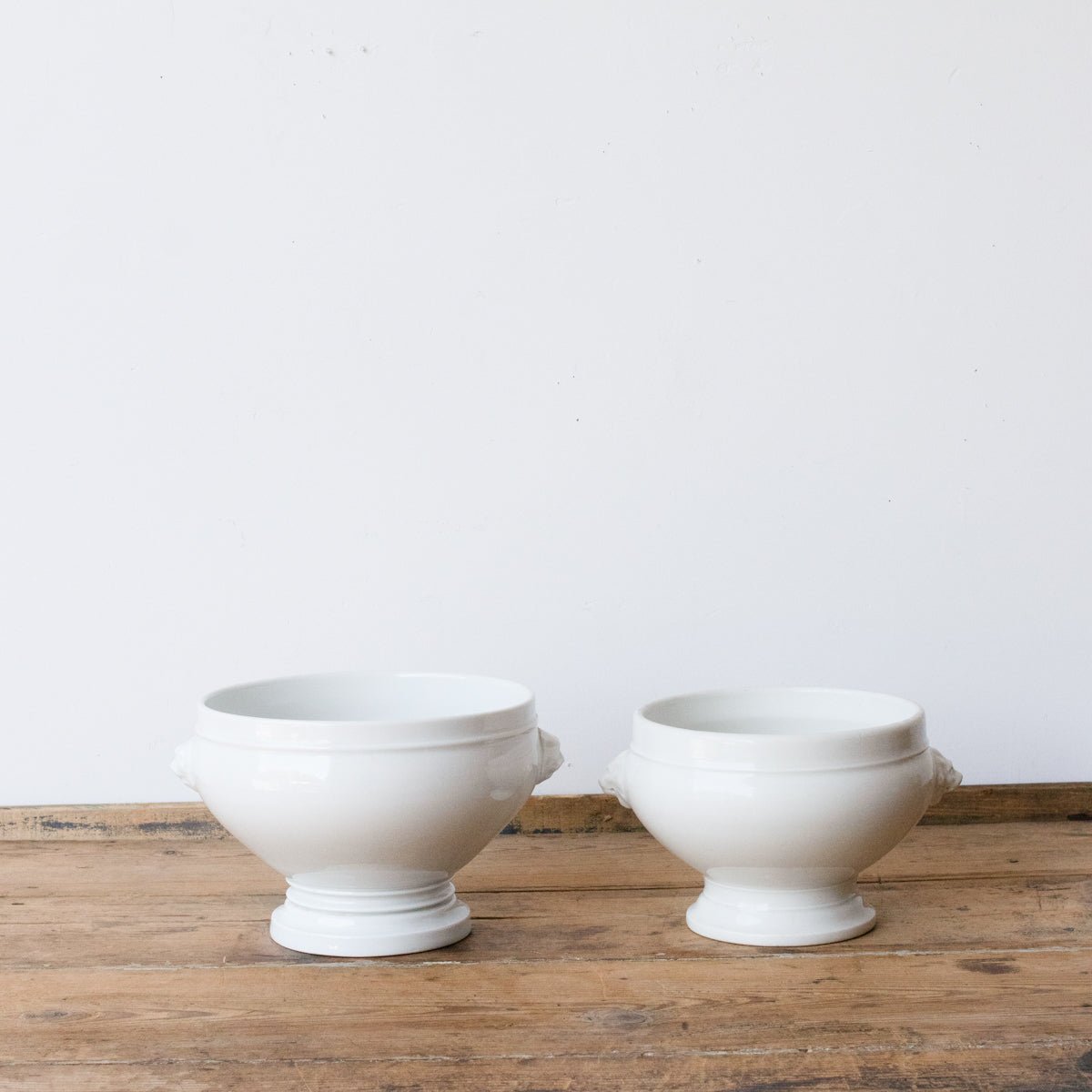 Large Lion Bowl - elsie green - The French Kitchen