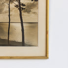 Le Cap Ferret Vintage Photograph - elsie green - art