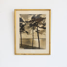 Le Cap Ferret Vintage Photograph - elsie green - art
