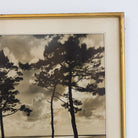 Le Cap Ferret Vintage Photograph - elsie green - art