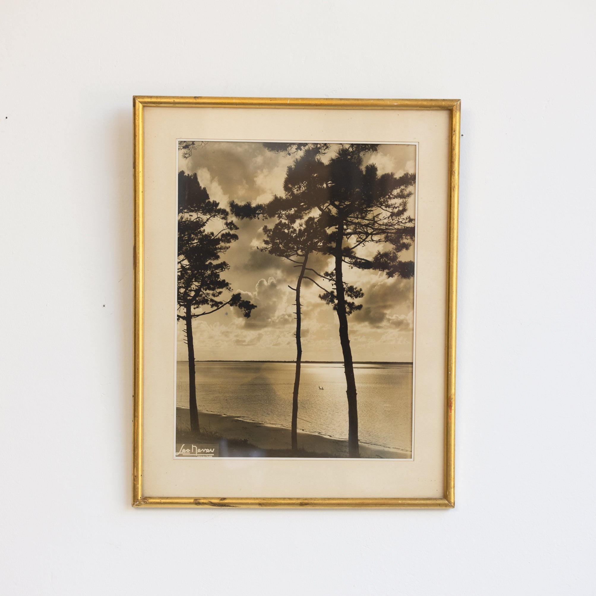 Le Cap Ferret Vintage Photograph - elsie green - art