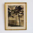 Le Cap Ferret Vintage Photograph - elsie green - art