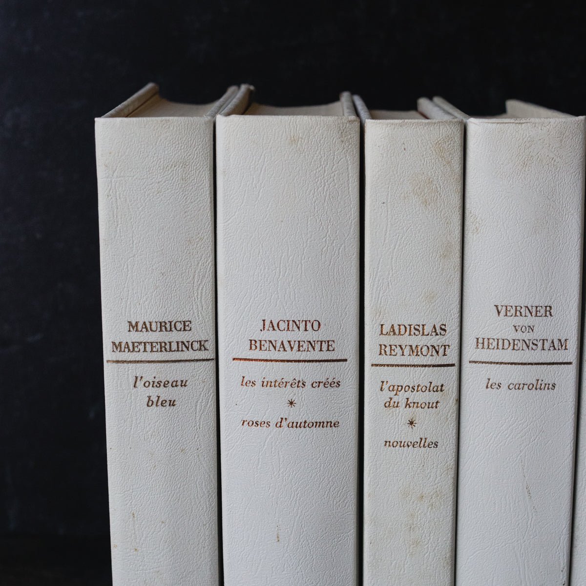 Leather Bound Nobel Prize for Literature Volume - elsie green - Decor