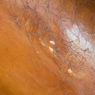 Leather Club Chair - elsie green - The French Kitchen