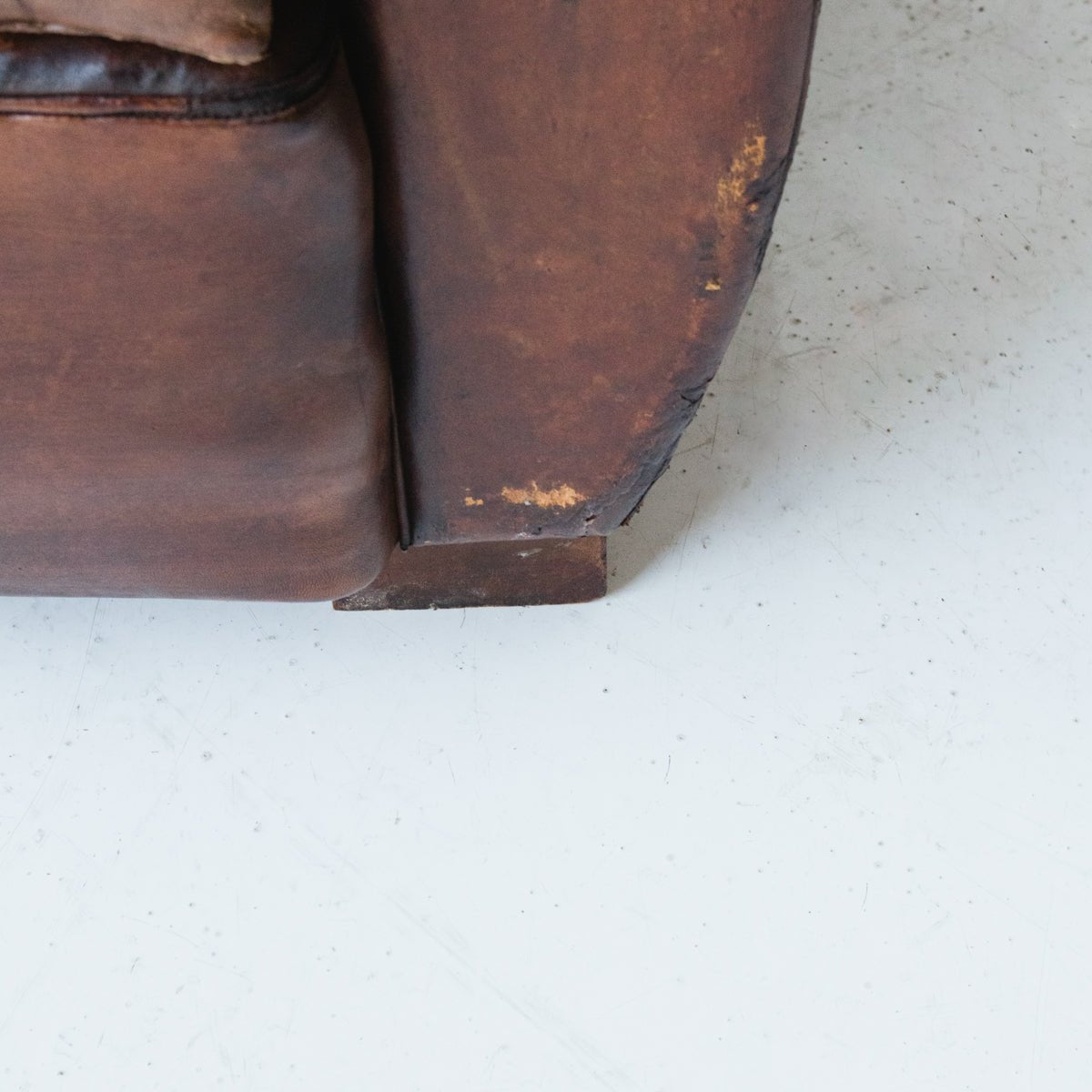 Leather Club Chair - elsie green - The French Kitchen