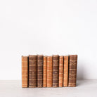 Leather Library Book - elsie green - Decor