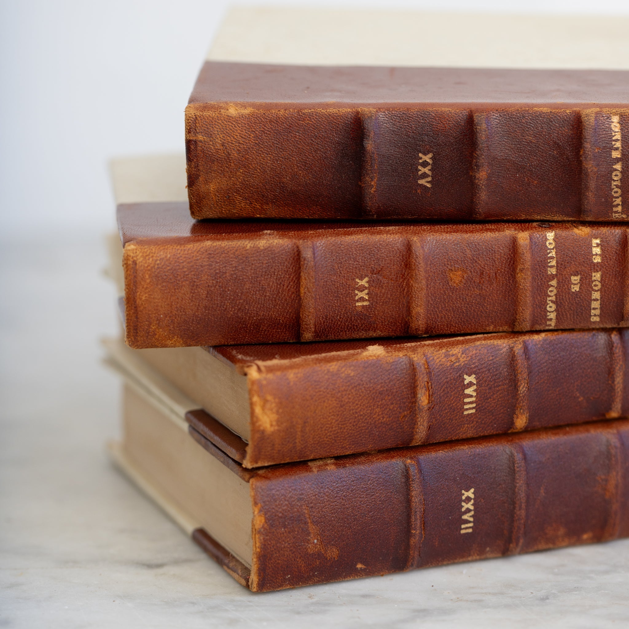 Leather Library Book set of 4 | Les Hommes de Bon Vilant - elsie green - decor