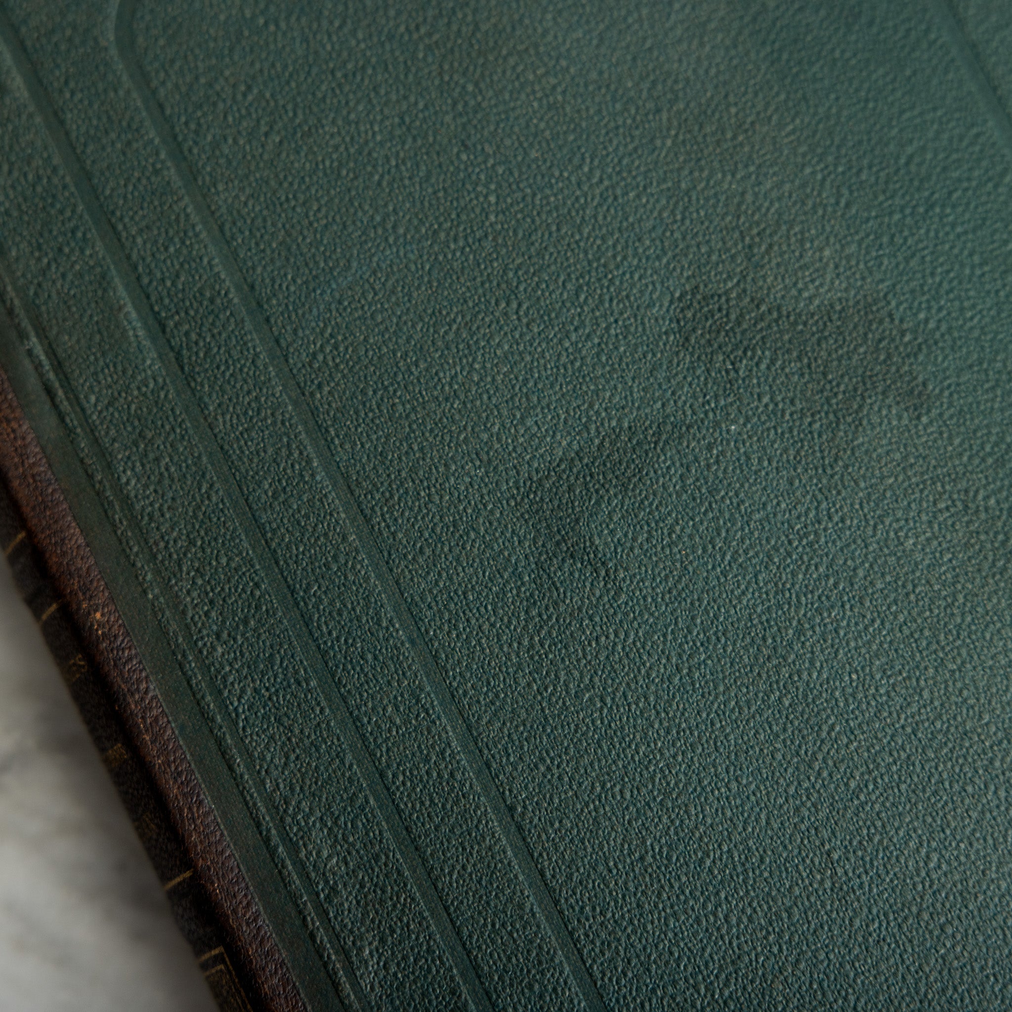 Leather Library Book | Victor Hugo Complete Works Volume 10 - elsie green - decor