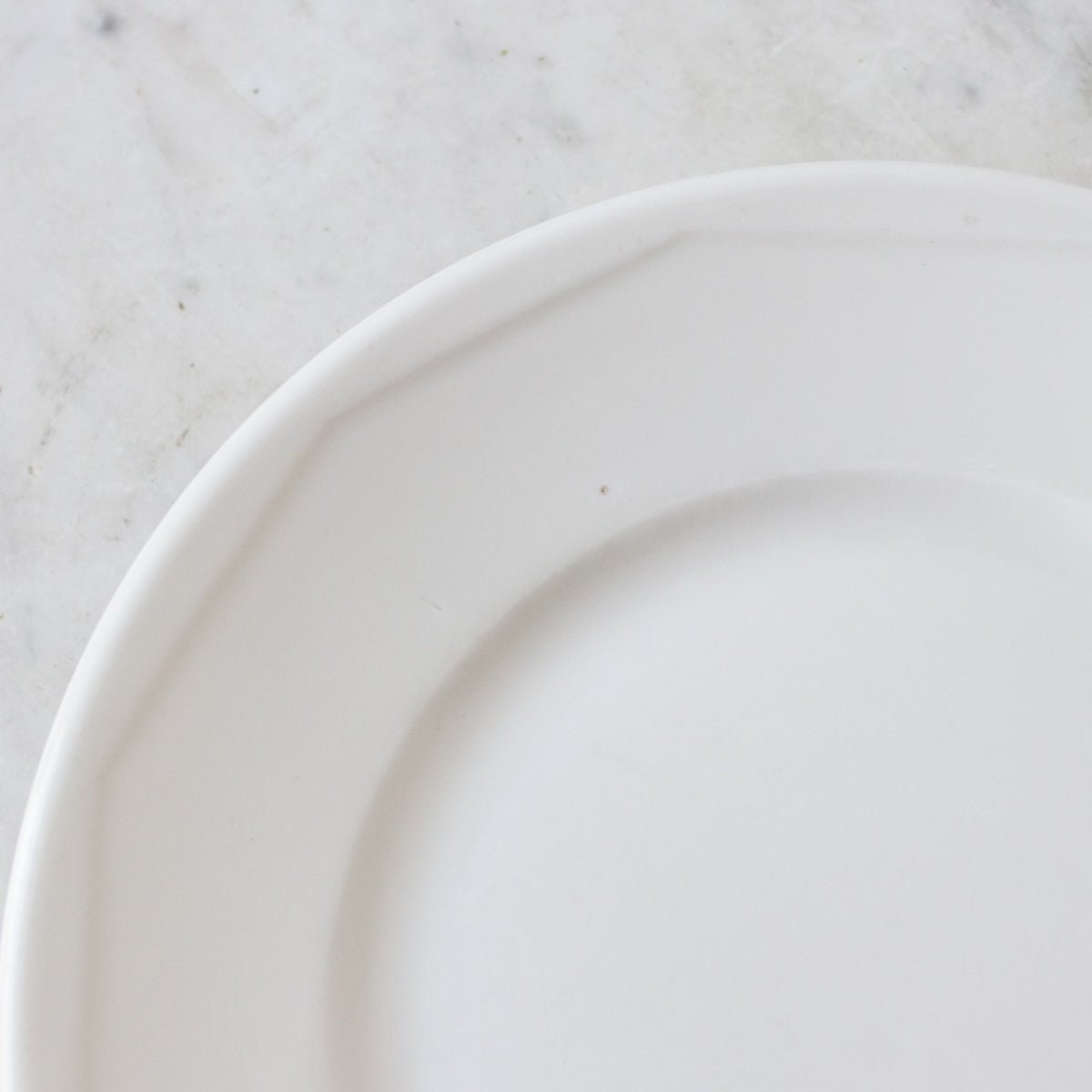 Limoges Bistro Porcelain Plate Set of 8 - elsie green - the french kitchen