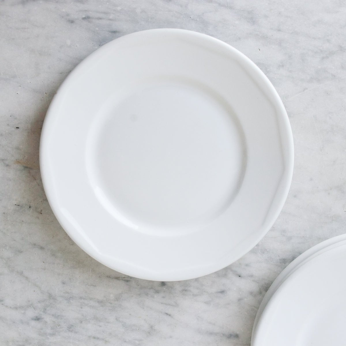 Limoges Bistro Porcelain Plate Set of 8 - elsie green - the french kitchen