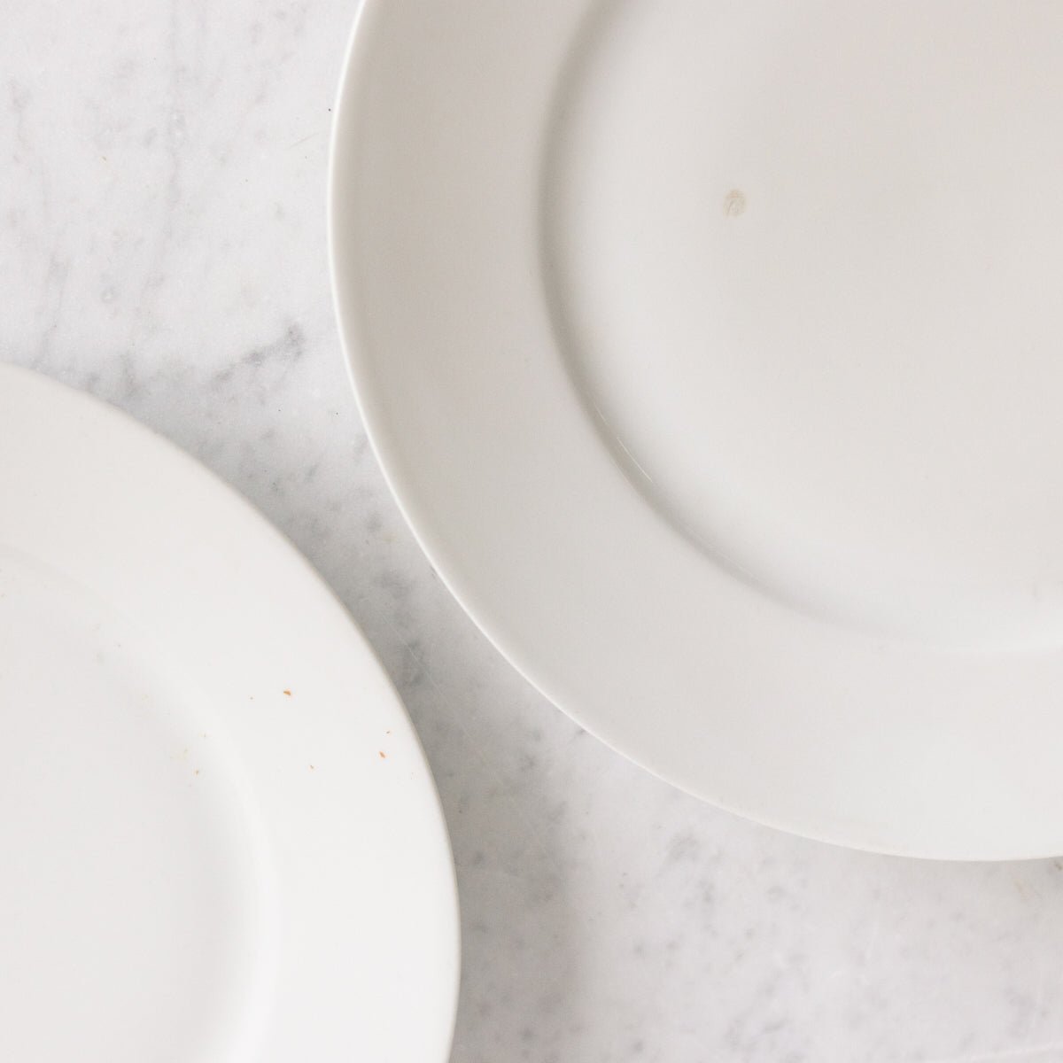 Limoges Dinner Plate Set of 6 - elsie green - The French Kitchen