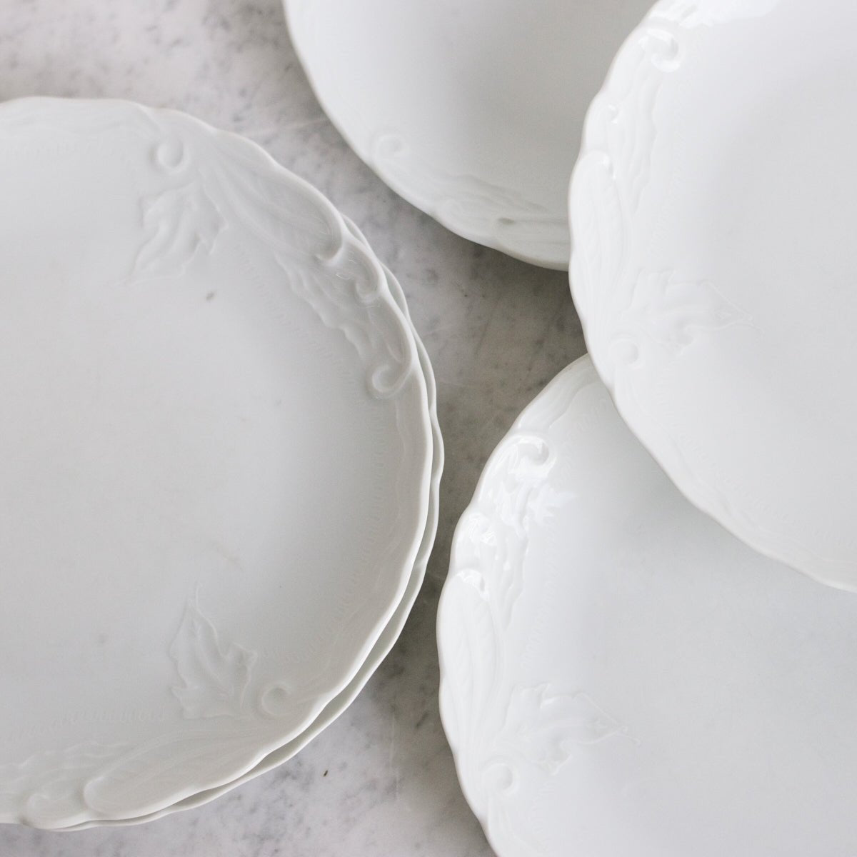 Limoges Dinner Plate Set Of 6 - elsie green - The French Kitchen