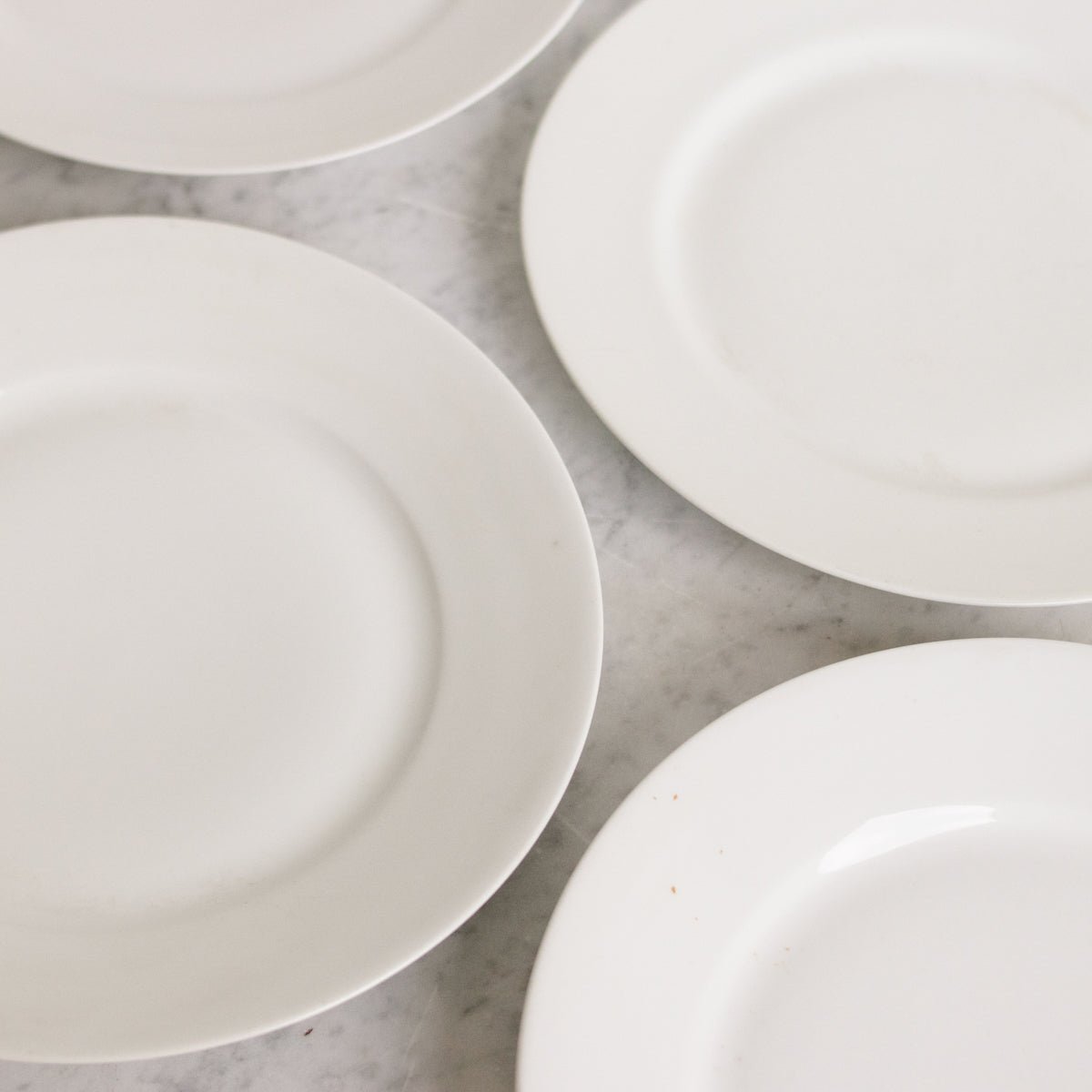 Limoges Dinner Plate Set of 6 - elsie green - The French Kitchen