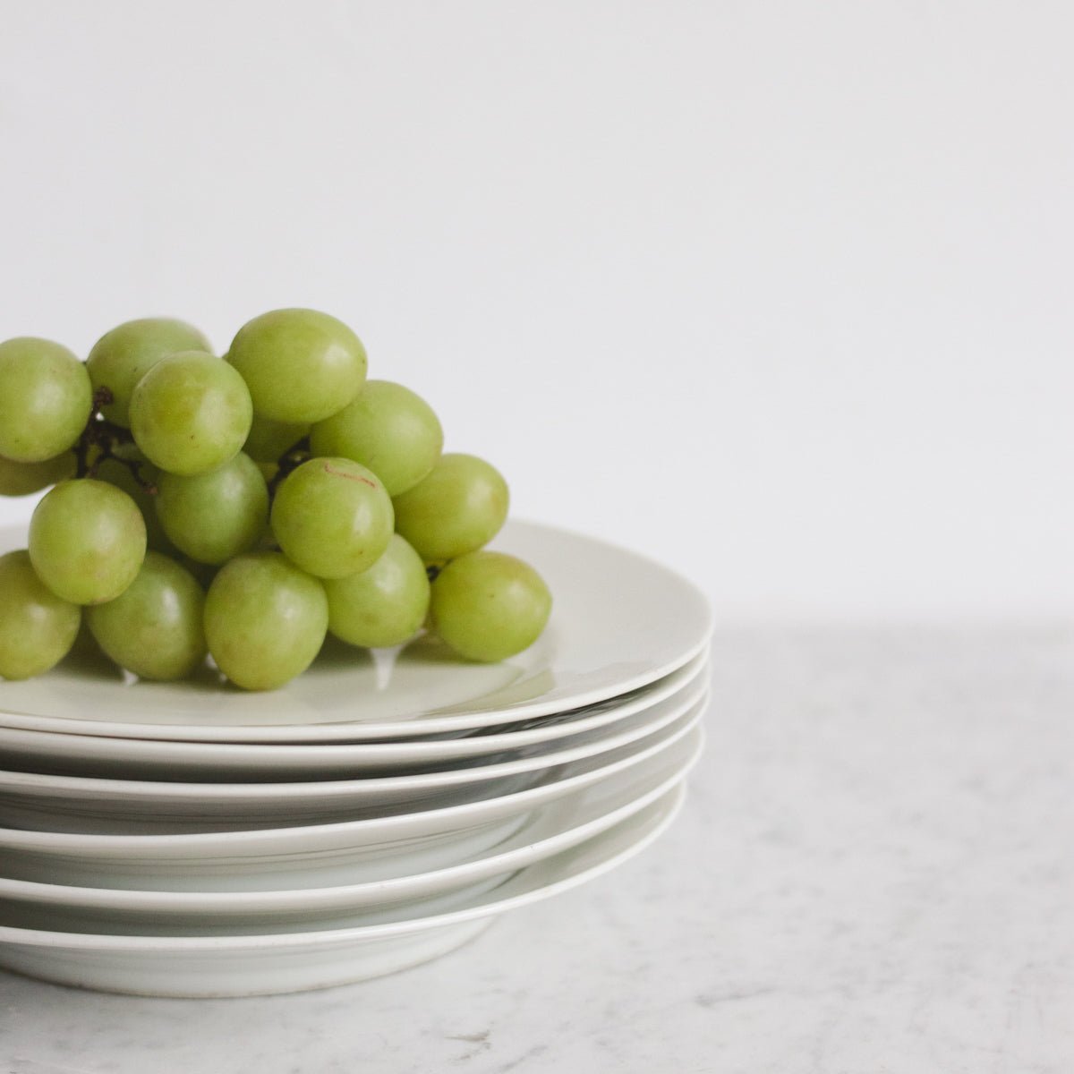 Limoges Dinner Plate Set of 6 - elsie green - The French Kitchen