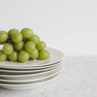 Limoges Dinner Plate Set of 6 - elsie green - The French Kitchen