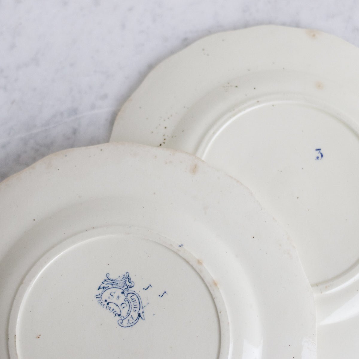 Louis XVI Transferware Dinner Plate Set of 4 - elsie green - The French Kitchen