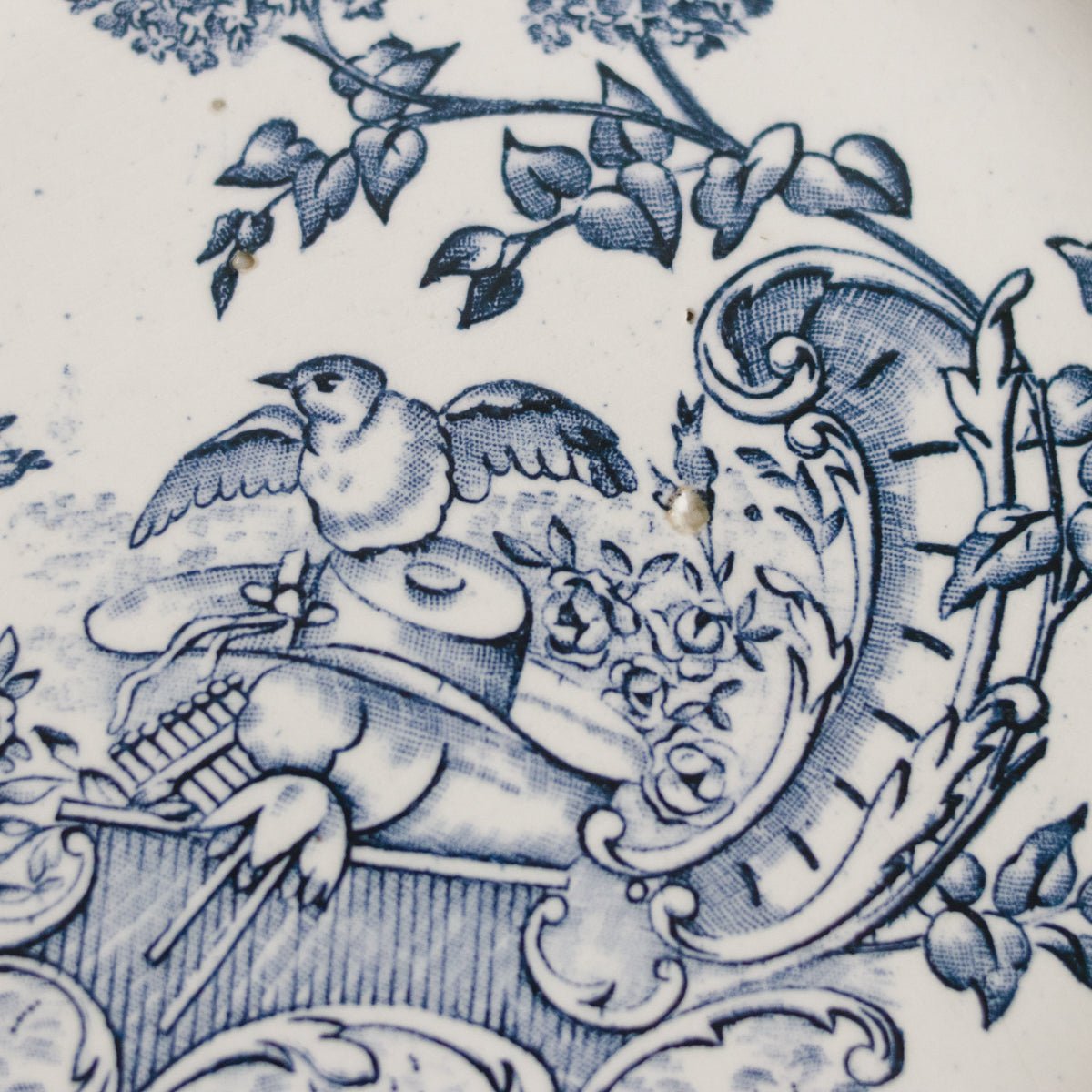 Louis XVI Transferware Salad Plate Set of 4 - elsie green - The French Kitchen