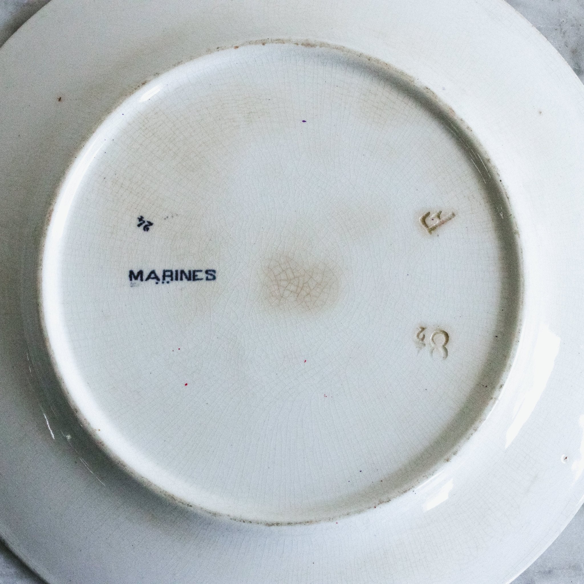 Marines Transferware Dinner Plate Set of 8 - elsie green - The French Kitchen