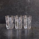 Matched Trio Of Blown Glass Tumblers With Floral Etching - elsie green - The French Kitchen