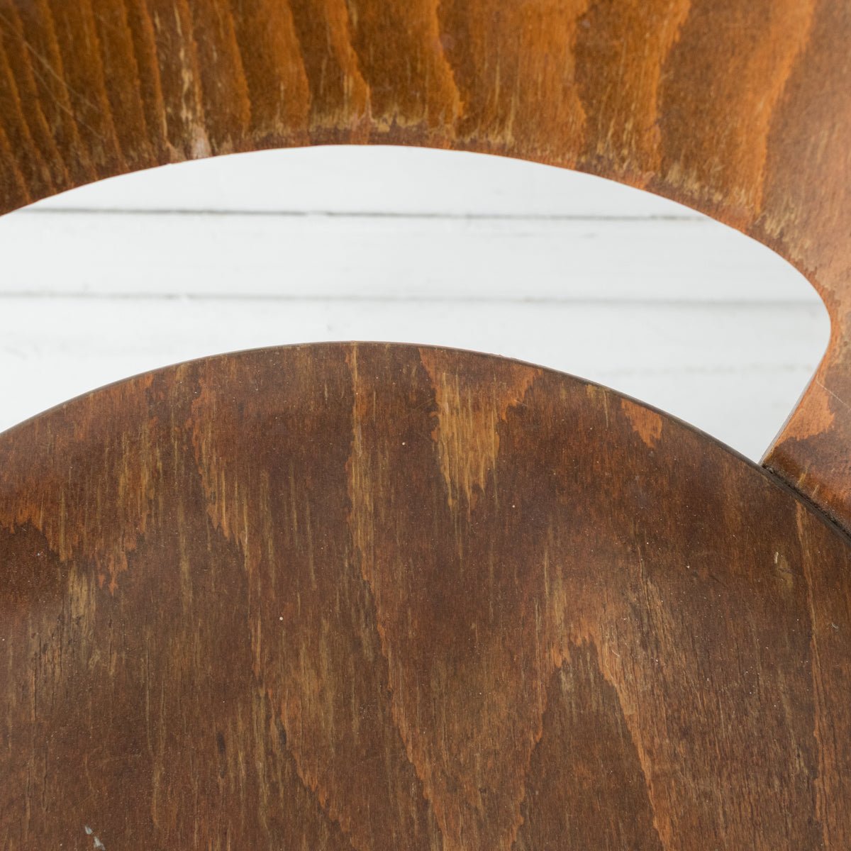 Mondor Dining Chair - elsie green - furniture