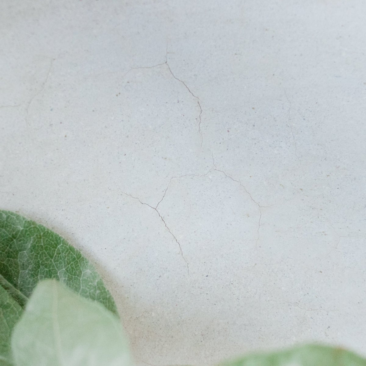 Moroccan Tadelakht | Platter - elsie green - The French Kitchen