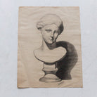 Museum Still Life Drawing - elsie green - art