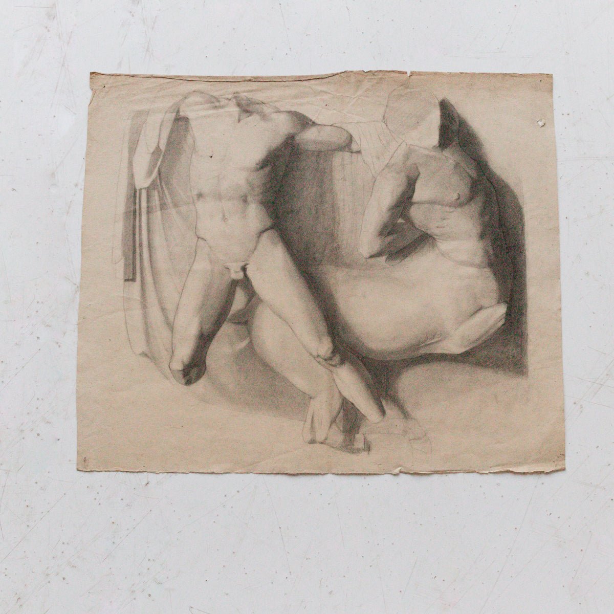 Museum Still Life Drawing - elsie green - 