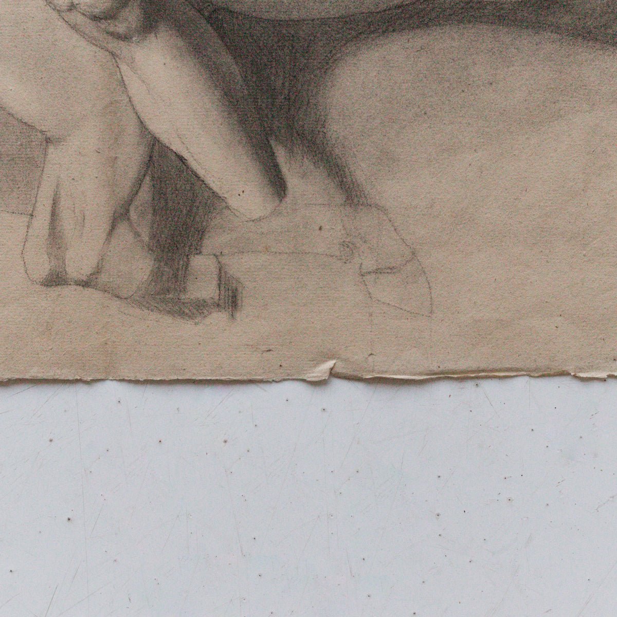 Museum Still Life Drawing - elsie green - 