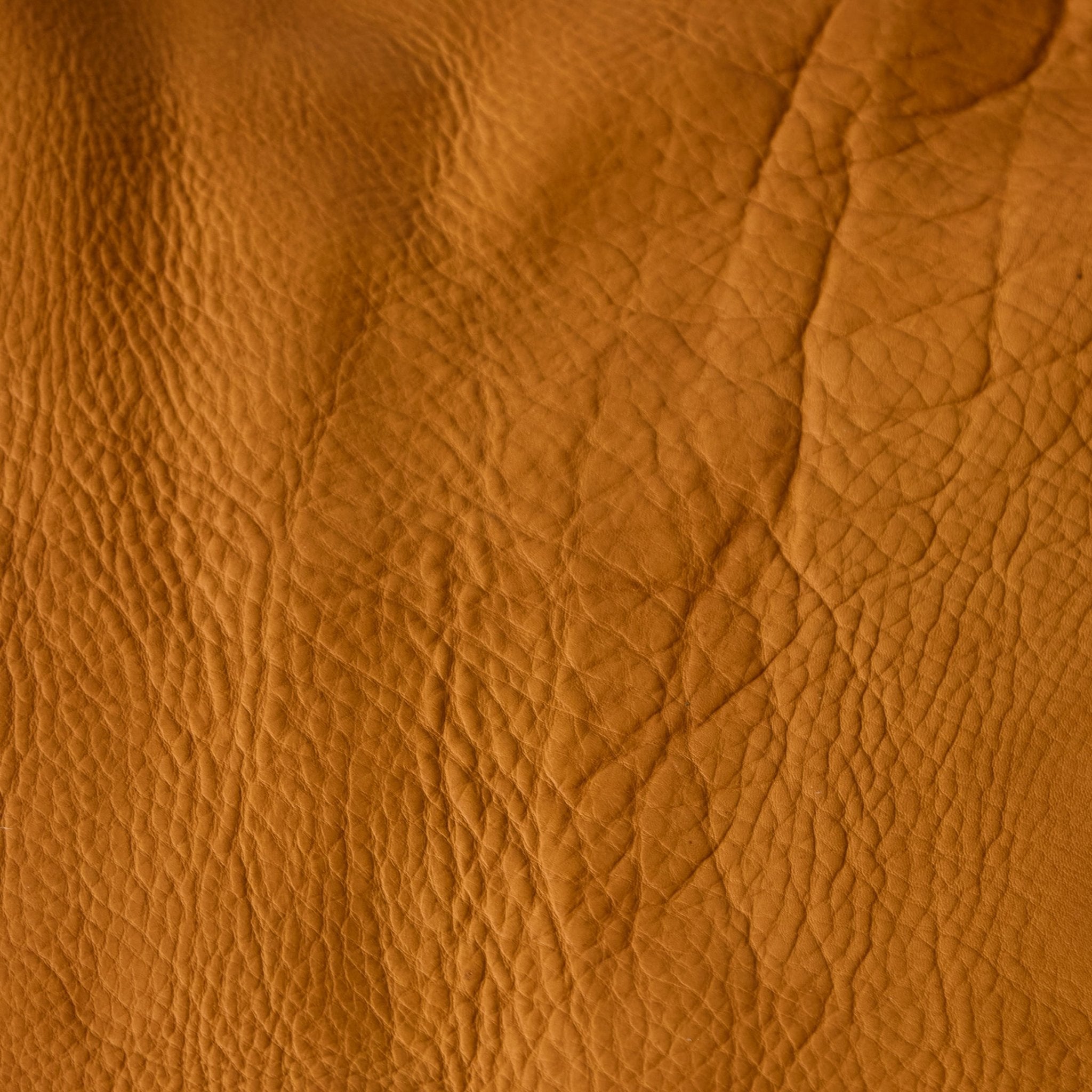 Napa Leather Cow Hide - elsie green - Textiles