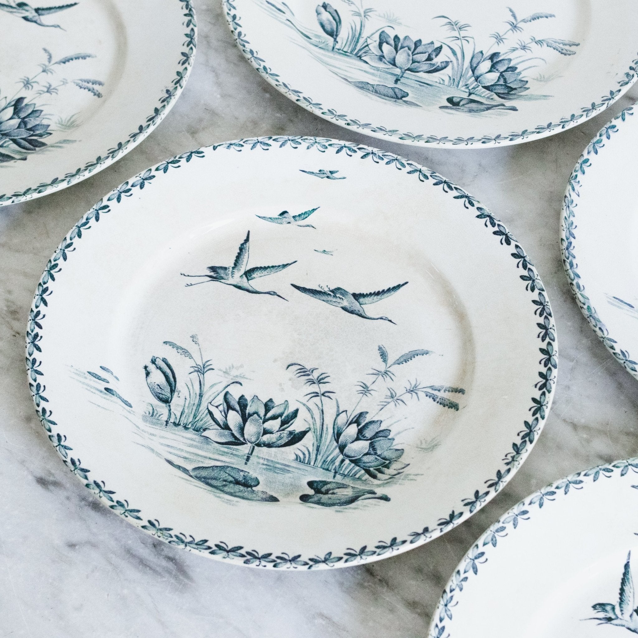 Nenuphar Transferware Plate Set Of 8 - elsie green - The French Kitchen