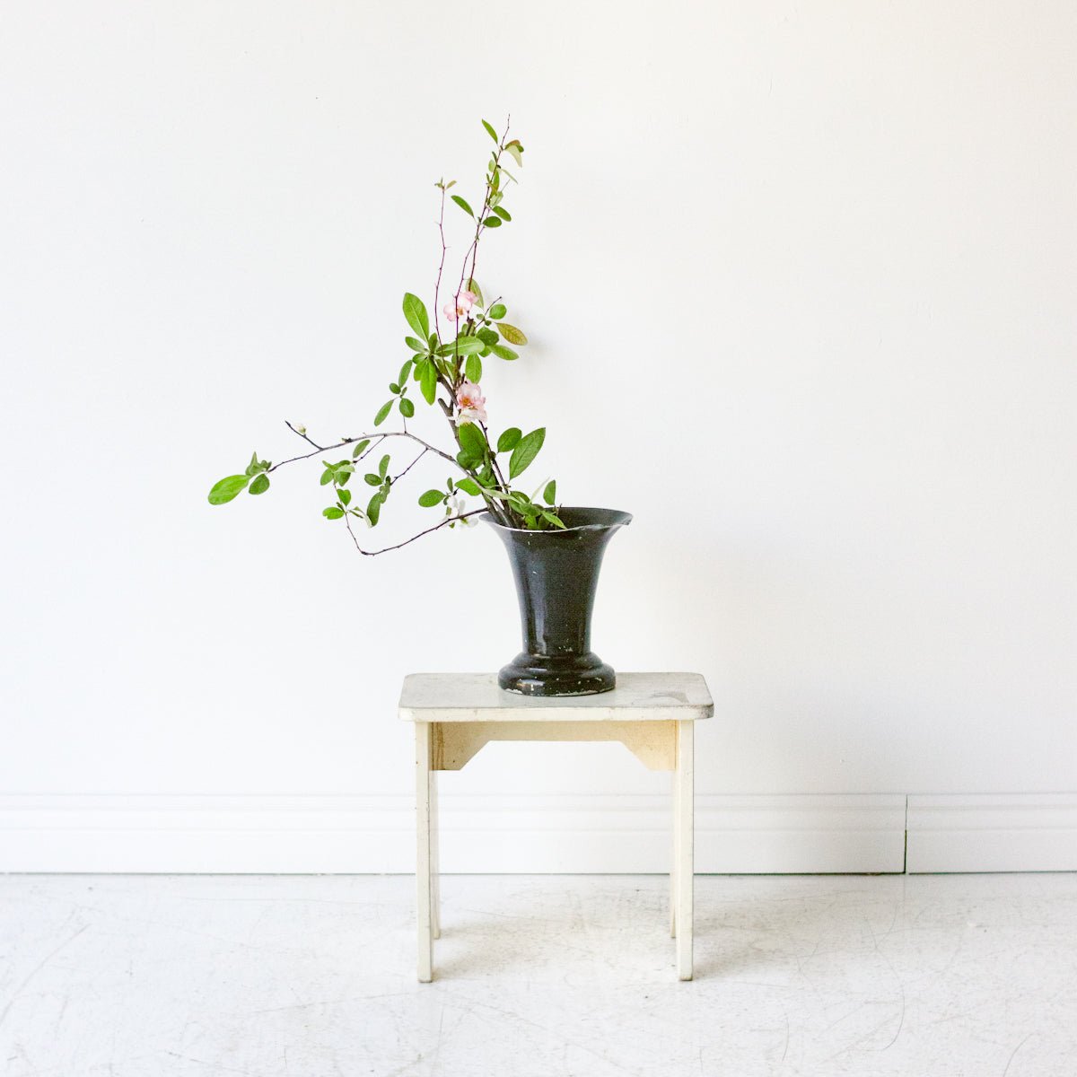 Painted Stepstool - elsie green - Furniture