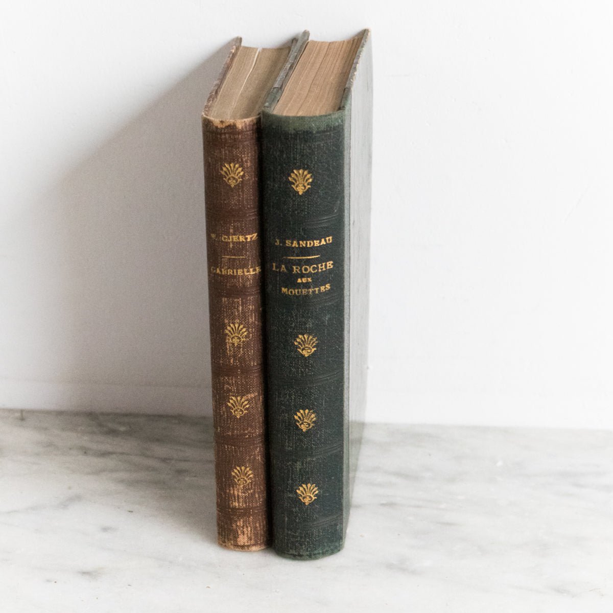 Pair of Antique French Novels - elsie green - decor