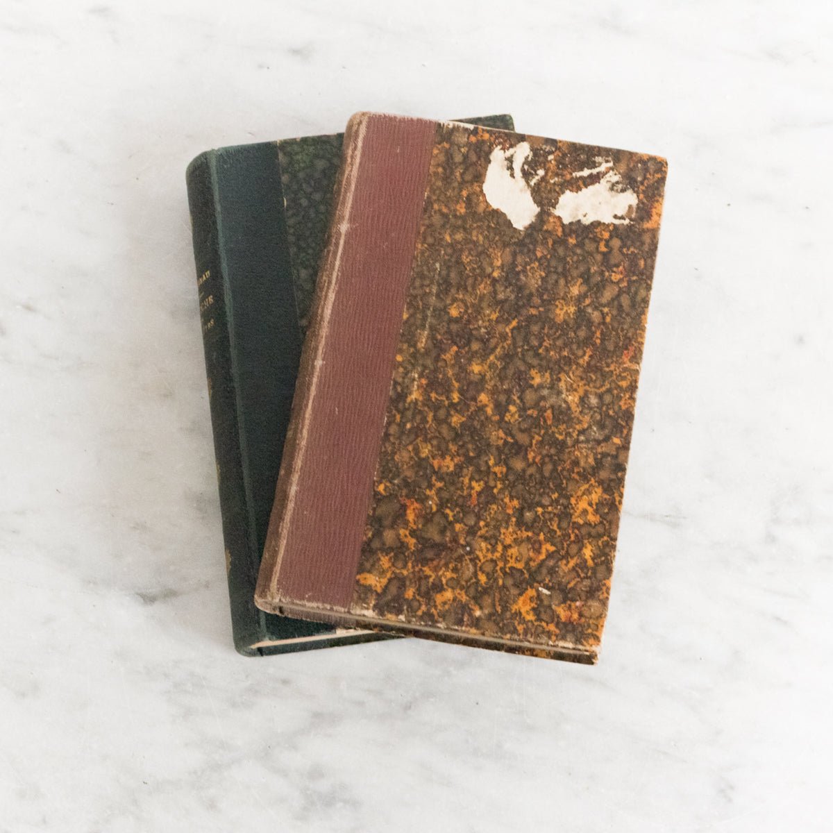 Pair of Antique French Novels - elsie green - decor