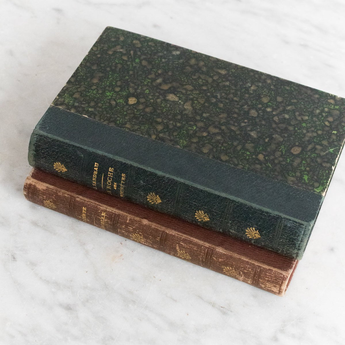 Pair of Antique French Novels - elsie green - decor