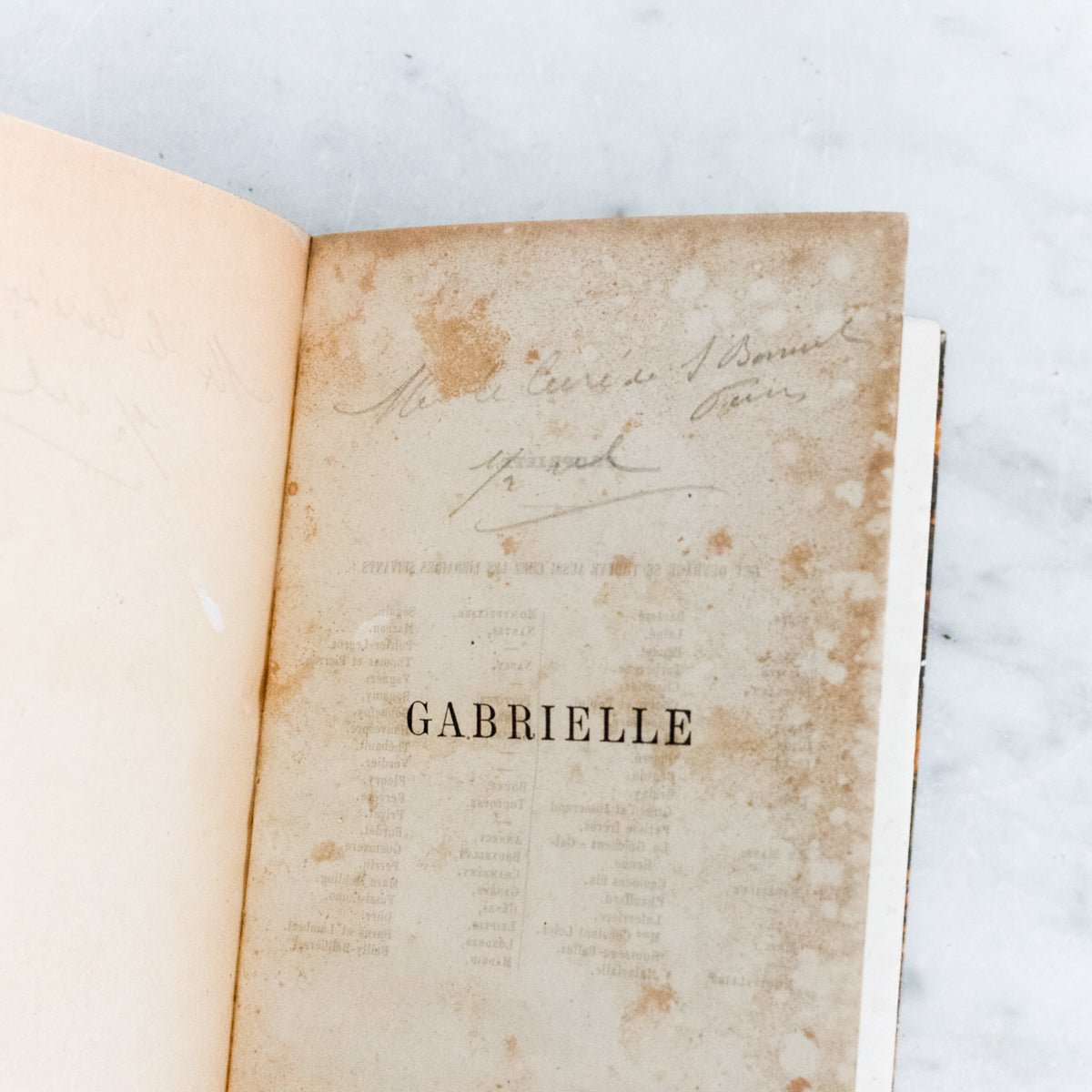 Pair of Antique French Novels - elsie green - decor